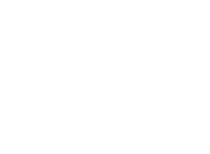 MEGA
