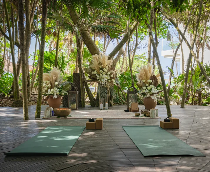 Yoga mats set out on a jungle deck